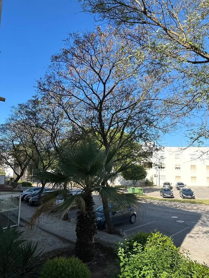 Apartamento Albufeira,4 Pessoas, Com Wi-Fi E A 15M A Pe Da Praia Portugal