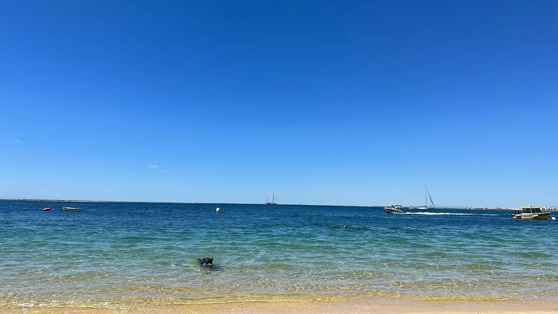 Apartamento Albufeira,4 Pessoas, Com Wi-Fi E A 15M A Pe Da Praia Albufeira